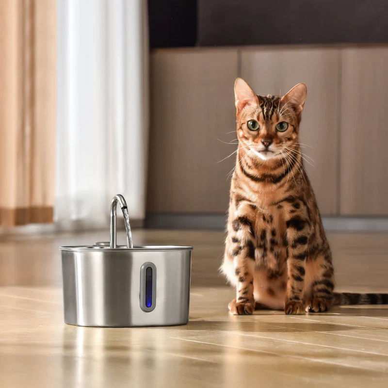 MichiFlow™ | Fuente Inteligente para Gatos