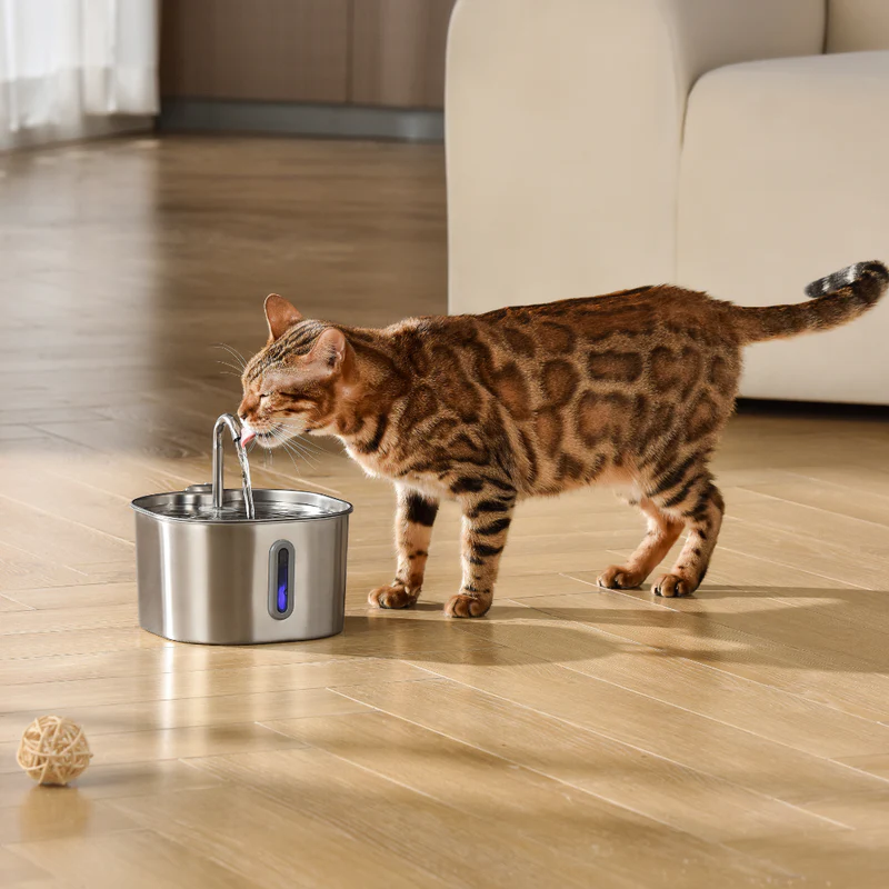 MichiFlow™ | Fuente Inteligente para Gatos
