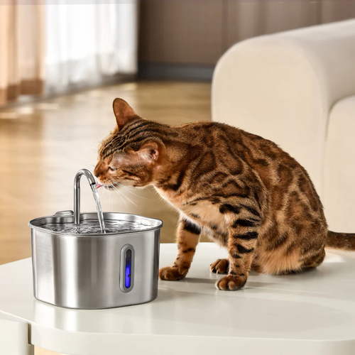 MichiFlow™ | Fuente Inteligente para Gatos